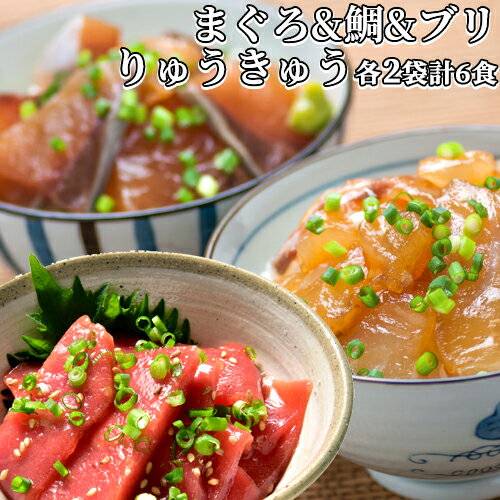 本マグロNo.1