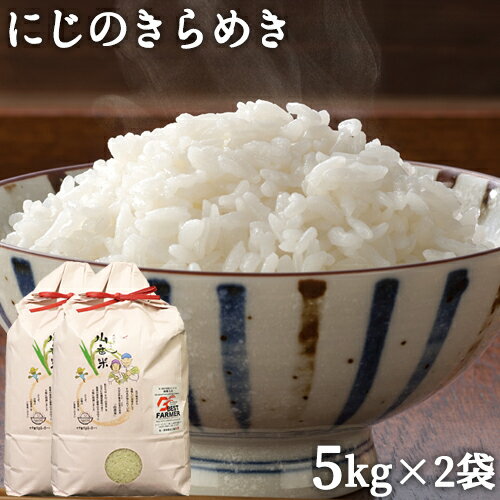 令和2年度産 山香米 にじのきらめき(精米)5kg×2袋 有機質肥料使用 杵築市山香町 ベストファーマー認定 色彩選別機導入 山香ゆうきの会【送料無料】