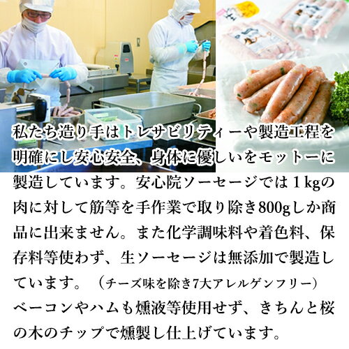 栄養豊富！鹿肉ジャーキー 塩味 20g 酒のおつまみやおやつに 国産ジビエ認証取得 国産鹿肉使用 安心院ソーセージ