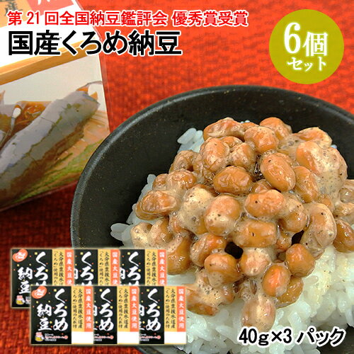 国産中粒大豆 国産くろめ納豆(40g×3) 6個セット 二豊フーズ 豊後水道産【送料込】 OIKI