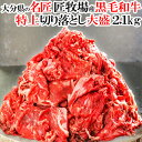 和牛日本一の大分県産 おおいた和牛切り落としA4・A5等級 メガ盛り2.1kg(300g×7パック) チャンピオン牛 生産 おおいた豊後牛 九州 国産 牛肉 匠牧場【送料込】 KTBU