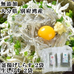 無添加 大分県 別府湾で獲れた しらす 食べ比べセット 800g(釜揚げしらす300g×2 生しらす100g×2) 国産 高橋水産(杵築市) 【送料込】 KTBU