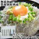 大分県 別府湾で獲れた 生しらす たっぷりセット 500g(100g×5) 国産 高橋水産(杵築市) 【送料込】