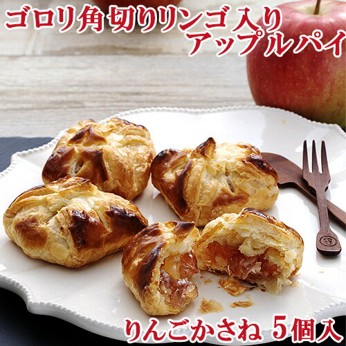 ゴロリ角切りりんご入りアップルパイ りんごかさね 5個入 BAKED APPLE PIE 菊家