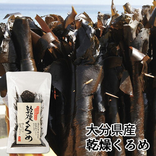 大分県佐賀関名産 乾燥くろめ 20g くろめ 海藻 食物繊維 ミネラル 佐賀関加工グループ OIKI