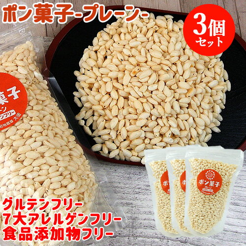 昔ながらのポン菓子 やさしい味付けで子どもも食べやすい ポン菓子（プレーン）60g×3個セット 大徳【送料無料】