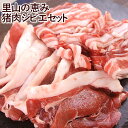 盛り盛りセット 国東半島ジビエ 猪肉モモスライス400g 猪肉バラ300g 山香アグリ【送料込】 K ...