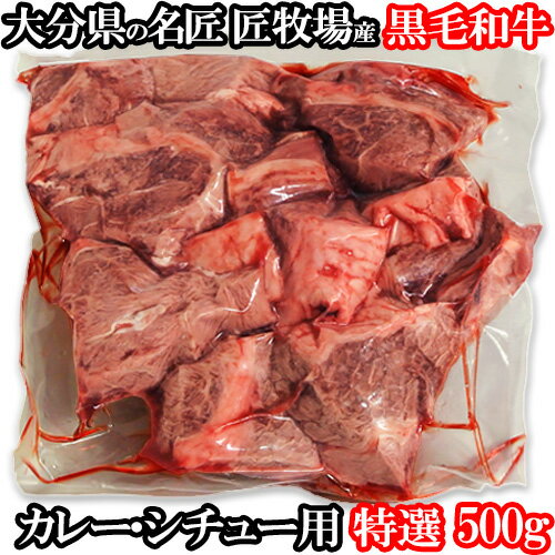 和牛日本一の大分県産 おおいた和牛 赤身スネ肉 500g チャンピオン牛 おおいた豊後牛 カレー シチュー 牛煮込み 牛肉 九州 国産 匠牧場【送料込】 KTBU