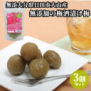 大分県日田市大山町産 うめ100% おおやま梅酒の梅 350g×3個セット 保存料・着色料不使用、無添加の梅酒漬け梅 梅酒専門蔵 おおやま夢工房【送料込】