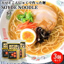 グルテンフリー 高たんぱく 低糖質 ソイデヌードル(SOYDE NOODLE) 100g(50g×2食)×3 大豆とこんにゃくの麺 コンニャク 蒟蒻 だいず 佐...