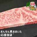 【応援企画】おんせん県おおいた ふっこう復袋(福袋) おおいた和牛詰め合わせセットB A5ランク 送料込み 冷凍 牛肉 大分県支援 復興 トキハインダストリー