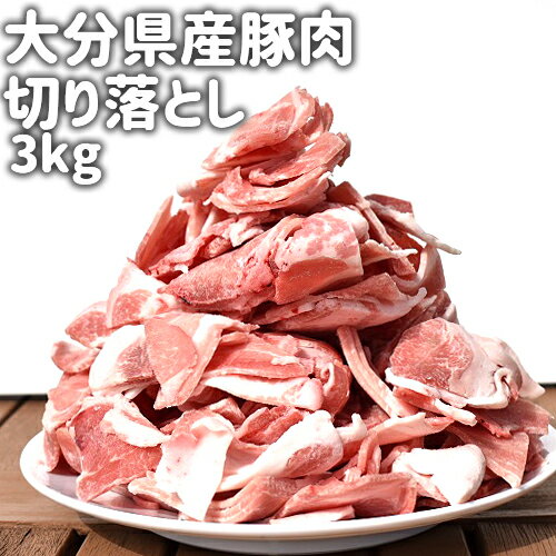 たっぷりボリューム満点 大分県産豚肉切り落とし 3kg(小分けで500gずつ6P) メガ盛り 切落し スライス肉 小間切れ 産地直送 冷凍便 デリカ・ミート吉野【送料込】