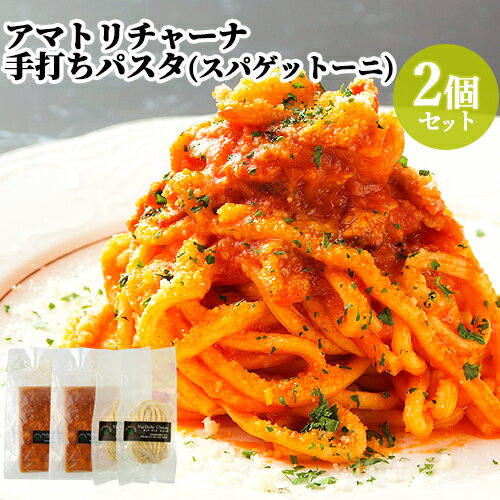 【2食分】生パスタの専門店のアマトリチャーナ(玉葱、燻製した豚肉、トマト) アマトリチャーナスパゲットーニ 約290g×2 ヴィアデッラキエーザ【送料込】 OIKI