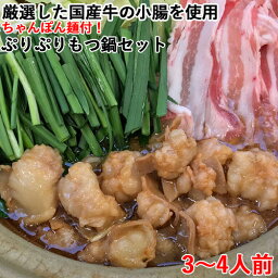 厳選した国産牛の小腸を使用 もつ鍋セット ちゃんぽん麺付き 3～4人前 西日本畜産【送料込】