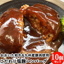 10個入り 国産原料使用 厳選したおおいた和牛と九州産豚肉 こだわり塩麹ハンバーグ 120g×10個 西日本畜産【送料込】