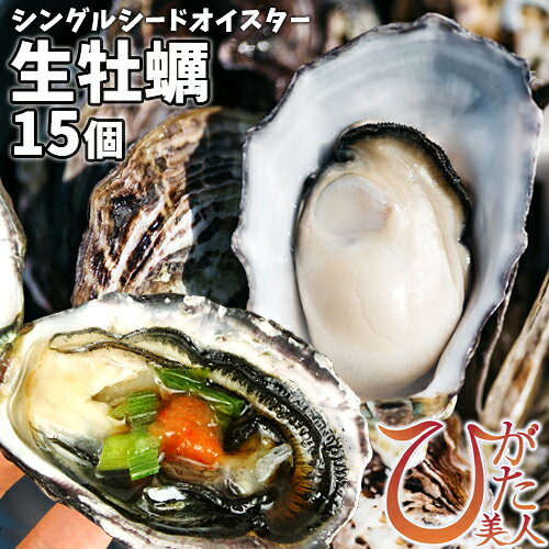 漁協直送 シングルシードオイスター 殻付き生食用牡蠣 ひがた美人 15個入(約500g) 濃厚極上な甘さと香り＜※指定日必須＞ 大分県漁協中津支店【送料込】のサムネイル
