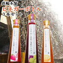 自然から生まれた体にやさしい果実酢 地熱ビネガーレギュラーボトル 3種(苺・かぼす・梅紫蘇)セット 各200mL ギフト箱入り 鉄輪温泉の蒸気で食材を調理する「...