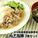 大分県産奥豊後豚使用 ねぎ塩豚 130g×3個 冷凍状態のまま電子レンジで温めるだけ! 簡単調理 時短 レンチン お惣菜 豚肉 冷凍便 CROBORNO(クロボ...