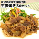 大分県産奥豊後豚使用 豚の生姜焼き 130g×3個 冷凍状態のまま電子レンジで温めるだけ! 簡単調理 時短 レンチン お惣菜 豚肉 冷凍便 CROBORNO(ク...