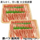 大分県産豚使用 豚バラ 焼肉用 500g 2P 西日本畜産 【送料込】 SAYU