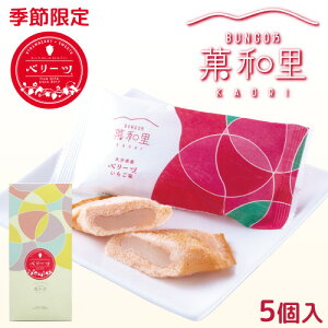 季節限定 ざびえる本舗 大分県産オリジナル苺ベリーツ使用 BUNGO乃 菓和里(いちご味) 5個入り 大分銘菓 お土産【送料込】 OIKI