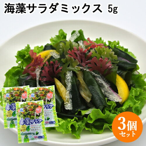 色鮮やかな海の野菜を手軽に！ 海藻サラダ 15g(5g×3袋)×3個セット 便利な個包装タイプの海藻サラダ 山忠 【送料込】