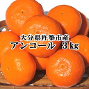 季節限定！！ 大分県杵築市産 アンコール(オレンジ) 3kg 秀品 M玉 木戸農園 ご家庭用【送料込 ...