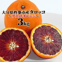 季節限定！！ 大分県杵築市産 タロッコ (ブラッドオレンジ) 3kg 木戸農園【送料込】 KTBU