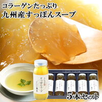 九州産極上すっぽん 料亭やまさ すっぽんスープ 300ml×5本入り 雑炊 鍋 国産 コラ...