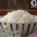 令和5年度産 中野のれんげ米 ひのひかり(精米) 300g お試しサイズ約2合分 大分県豊後大野市清川町産ヒノヒカリ 緑肥として蓮華を使用 九州産白米 お米 農事組合法人グリーン法人中野 KTBU