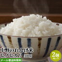 令和5年度産 中野のれんげ米 ひのひかり(精米) 300g×2個セット お試しサイズ 大分県豊後大野市清川町産ヒノヒカリ 緑肥として蓮華を使..