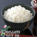 令和5年度産 中野のれんげ米 ひのひかり(精米) 1kg 大分県豊後大野市清川町産ヒノヒカリ 緑肥として蓮華を使用 九州産白米 お米 小分け 一人暮らし 単身者向け 農事組合法人グリーン法人中野 KTBU 1