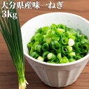 シャキッと食感 大分県を代表するブランド野菜「大分味一ねぎ」3kg(100g×30袋) 小ねぎ 業務用 九州産 産地直送 冷蔵便 JAおおいた＜指定日必須＞【送料込】 OIKI