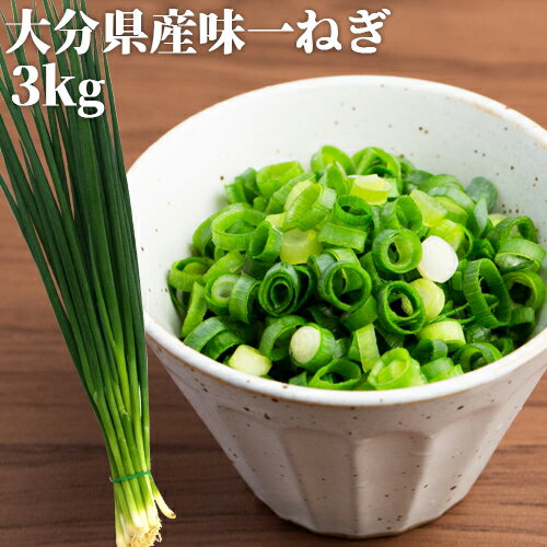 記事番号:35502/アイテムID:374320の画像