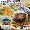原木栽培乾椎茸生産量日本1位 大分産ブランド椎茸 うまみだけ とよくに 40g×3袋セット トレーサビリティ参加 チャック付きスタンドパック 冷凍保存可能 王将...