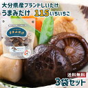 原木栽培乾椎茸生産量日本1位 大分産ブランド椎茸 うまみだけ 115(いちいちご) 40g×3袋セット トレーサビリティ参加 チャック付きスタンドパック 冷凍保存可能 王将椎茸【送料込】