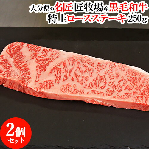 和牛日本一の大分県産おおいた和牛 国産黒毛和牛特上ステーキ 250g×2個セット 生産 厳選おおいた豊後牛 九州 国産 牛肉 匠牧場【送料込】
