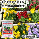 &nbsp;&nbsp;&nbsp; そのまま使える培養土 &nbsp;■&nbsp;花と野菜の培養土 化成肥料入りのプランター用土で袋から出してそのまま播種及び定植が可能です。 家庭菜園のトマトやキュウリなどの野菜はもちろん、ガーデニングにもお使いいただけます。 1袋で60cmプランター1個分の容量になります。 &nbsp;■&nbsp;株式会社サンテツ 農業、園芸に必要な土壌改良材（バーク堆肥）をはじめ、育苗床土、水稲床土等の農業用資材の製造販売をしています。 農業のプロから家庭菜園、プランターまで幅広くご利用いただいております。 商品名 花と野菜の培養土 原料 バーク堆肥、焼土、ピートモス、パーライト、バーミキュライト、化成肥料8-8-8 内容量 13L(約7kg) 商品コード J0000000887005 保管方法 陽の当らない風通しの良い場所に保管してください。 使用期限 到着後半年 製造元 株式会社サンテツ 大分県佐伯市東浜10897-66 区分 土・肥料 畑 ガーデニング 家庭菜園 田畑 肥料 ひりょう 野菜栽培 つち プロ仕様