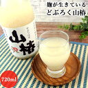 麹が生きている どぶろく山椿 720ml 15~16度 山国米&自家製の米麹使用 スッキリ&辛口 飲むだけでなくお料理にも やまくにどぶろく特区 冷蔵便 山国どぶろく製造所【送料込】