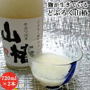 麹が生きている どぶろく山椿 720ml×2本 15～16度 山国米&自家製の米麹使用 スッキリ&辛口 飲むだけでなくお料理にも やまくにどぶろく特区 冷蔵便 山国どぶろく製造所【送料込】