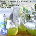 九州産一番茶摘み緑茶と大分県産かぼす使用 無添加 かぼす緑茶 12g(2g×6袋入)×3 BEPPU OCHARD(ベップ オチャード) まるにや【送料込】