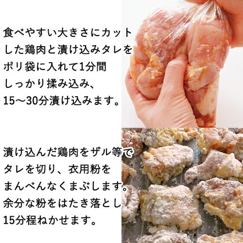 宇佐からあげの漬け込みダレ&からあげ粉セット お試し85g+80g(唐揚げ下味用・鶏肉約500g用)×3個セット カラアゲ調味液 お惣菜の素 常温 ナルミ総合企画【メール便送料込】 3