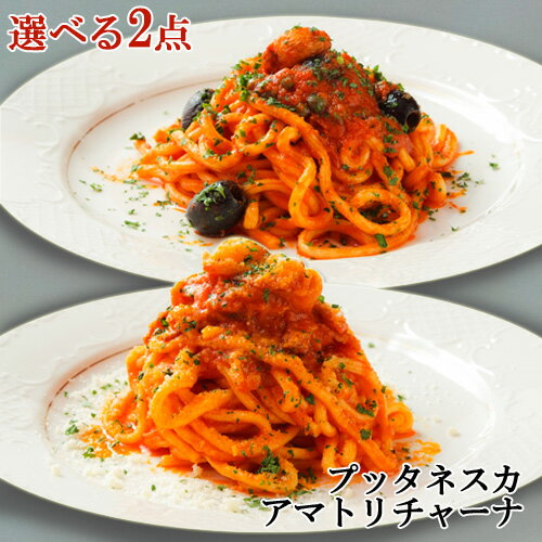 選べる2点セット 生パスタ専門店 アマトリチャーナ スパゲットーニ 290g&プッタネスカ スパゲットーニ 290g ヴィアデッラキエーザ 自家製の生パスタ【送料込】 OIKI