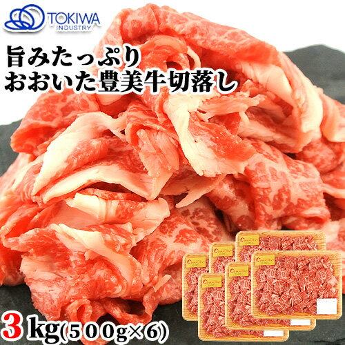 大分県産 おおいた豊美牛切落し 3kg(500g×6) すき焼 炒め物 霜降り とよみぎゅう 牛肉 国産 九州産 お肉 冷凍 お取り寄せ トキハインダストリー【送料込】 OIKI