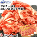 &nbsp; 旨みたっぷり！肉じゃがからすき焼まで！ &nbsp;■&nbsp;豊美牛(とよみぎゅう) 自然豊かな大分県で飼育された交雑牛できめ細やかで柔らかい肉質、美しい霜降りならではのまろやかなコクと肉本来のうまみが特長です。 和牛に近い美味しさをお手頃にお楽しみいただけます。 商品名 おおいた豊美牛切落し 名称 牛肉 内容量 3kg(500g×6) 商品コード J0000000097235 賞味期限 商品到着後約180日 原材料 牛肉 保存方法 商品到着後冷凍庫(-18℃以下)にて保存 製造者 株式会社トキハインダストリー 大分県大分市明野東1-1-1 区分 食品産地直送 産直 クール便 ラッピング のし 和牛日本一の大分県産黒毛和牛 おおいたわぎゅう 大分わぎゅう おおいた和牛 大分和牛 おおいた豊後牛 ぶんごぎゅう ぶんごうし ビーフ A4等級 A5等級 A4級 A5級