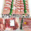 大分県産 大満足セット 豚バラ 焼肉用 500g 2 豚ローススライス 薄切り 500g 2 豚小間肉500g 2 西日本畜産 【送料込】