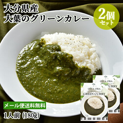 大分県産素材使用 大分大葉のグリーンカレー 1人前(180g)×お試し2個セット レトルト 野菜カレー レストランの本格的な味 アダージョ Adagio OIKI