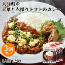 大分県産素材使用 大分大葉と赤採りトマトのカレー 1人前(180g)×3個セット レトルト 野菜カレー レストランの本格的な味 アダージョ Adagio【送料込】 OIKI