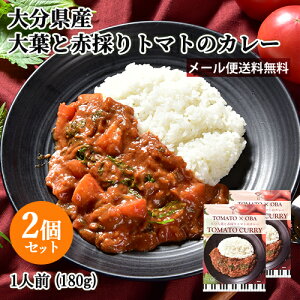 大分県産素材使用 大分大葉と赤採りトマトのカレー 1人前(180g)×お試し2個セット レトルト 野菜カレー レストランの本格的な味 アダージョ Adagio【メール便送料込】