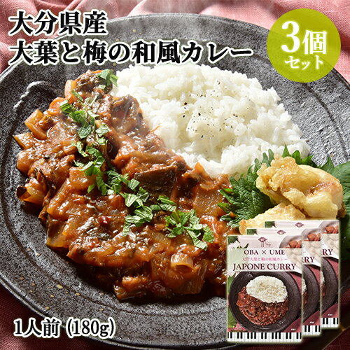 大分県産素材使用 大分大葉と梅の和風カレー 1人前 180g 3個セット レトルト 野菜カレー レストランの本格的な味 アダージョ Adagio